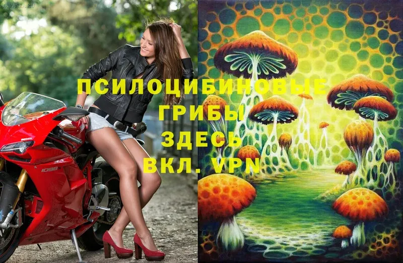 гидра ССЫЛКА  Янаул  Галлюциногенные грибы Magic Shrooms 